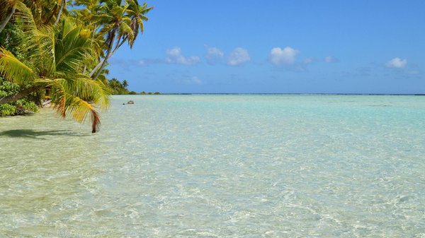 Expérience unique : camping dernière minute en haute montagne