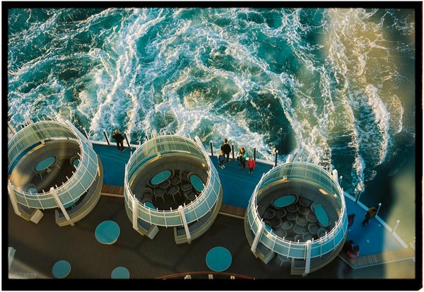 Les précautions à prendre pour un camping sans stress avec vos animaux