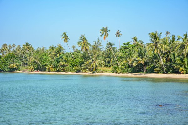 Littérature et tourisme culturel : sur les traces des écrivains célèbres